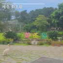 스타인베스트 | 제주 화조원 | 제주 가볼 만한 곳 | 제주 동물원 추천 | 제주 가족여행 | 제주도민 추천 | 솔직 후기