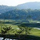 늘푸른 골프존 이미지