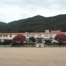 영남초등학교 이미지