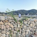 돌담스테이 이미지