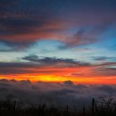 치앙라이 Daum카페