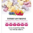 강아지 유산균 포앤츄 발효 산양유 믹스 반려견 만족도 최고 후기