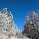 태백종합관광안내소 이미지