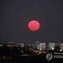 달오름 티스토리