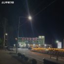 소나무골