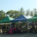 이반성초등학교 Daum카페