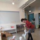 도니바니 이미지