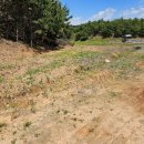 태흥종합건설 주식회사 이미지