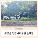 부평숲인천나비공원 | 부평숲 인천나비공원 인천숲체험 곤충좋아하는아이와 가볼만한곳 추천!