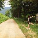 소백산자락길 제4코스 이미지