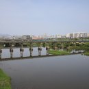 산동교