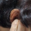 금강보청기 수성센터 이미지