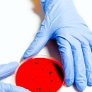 동해요양병원 이미지