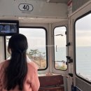 디페드(DFED)송정점 | 여름휴가 국내여행지 추천 : 부산편(해운대, 스카이캡슐,해변열차)