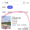 복목장 | [제주] 애월 가볼맛한곳 놀면뭐하니 도치돌알파카목장 할인 방법 및 방문 후기