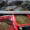 농수산물상훈횟집