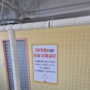 옐로베어 | 대전 관저동 키즈카페 옐로우베어 내돈내산 솔직후기