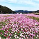 북천생태공원 이미지