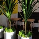 아메리칸트레이 이미지