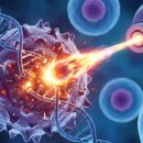 현대방사선기계 | 중입자 치료 비용 5천만 원의 진실? 실제 치료 후기와 적용 대상 총정리 (전립선암, 췌장암, 간암)