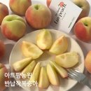 반납작복숭아 꿀복숭아 맛집, 아트팜농원