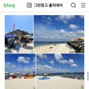 그린망고 홀리데이 이미지