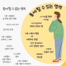 디데이스튜디오