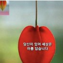 당신이 있어 좋은세상 이미지