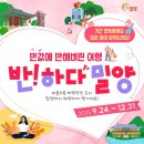 반하다 뉴시스