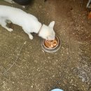 해돌이 ! 컴백홈!~~~~ 으그~~ 이미지