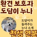 (주)정진약품 | 크림 포메라니안 투병 중 속마음 죽고 싶지 않았어요 강아지 교감 보호자의 해피엔딩