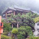 임자공인중개사사무소 이미지