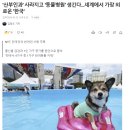 뉴욕타임즈 &#34;세계에서 가장 외로운 나라 한국&#34; 이미지