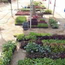 청종농장 이미지