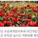 곡성-262 이미지