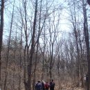 오봉산방 | (2009.3.28.토)송추 여성봉및오봉 산행후기...(좋은산대장님)