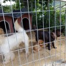 대산면 감성마을 이미지