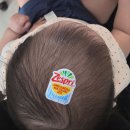 작은언니키친 | 여름에 입맛 없는 사람.. 부럽다🍑 8월. zip_2