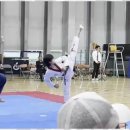 즐거운태권도 이미지