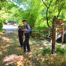 대성암 갈림길 이미지