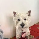 부평구청역 이미지