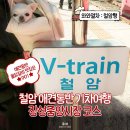 애견동반 강원도 태백 철암 기차여행 장성중앙시장 물닭갈비 당일치기 코스