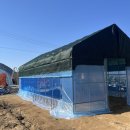 용달농장 | [충북 옥천] 감말리기,창고로 활용하려고 설치한 비닐하우스