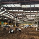 대형목장 이미지