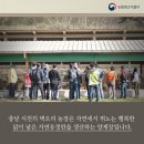 소소농장 이미지