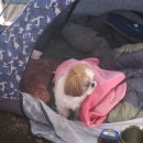 상경농장 이미지