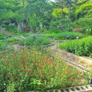 중방농장 이미지