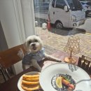 저스트브런치 티스토리