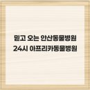 24시 아프리카동물병원 | 믿고 오는 안산동물병원 24시 아프리카동물병원