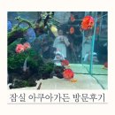 월드아쿠아 | 잠실 아기와 갈만한 곳 추천 ㅣ 롯데월드몰 아쿠아가든 카페 후기 (수유실 주차꿀팁)